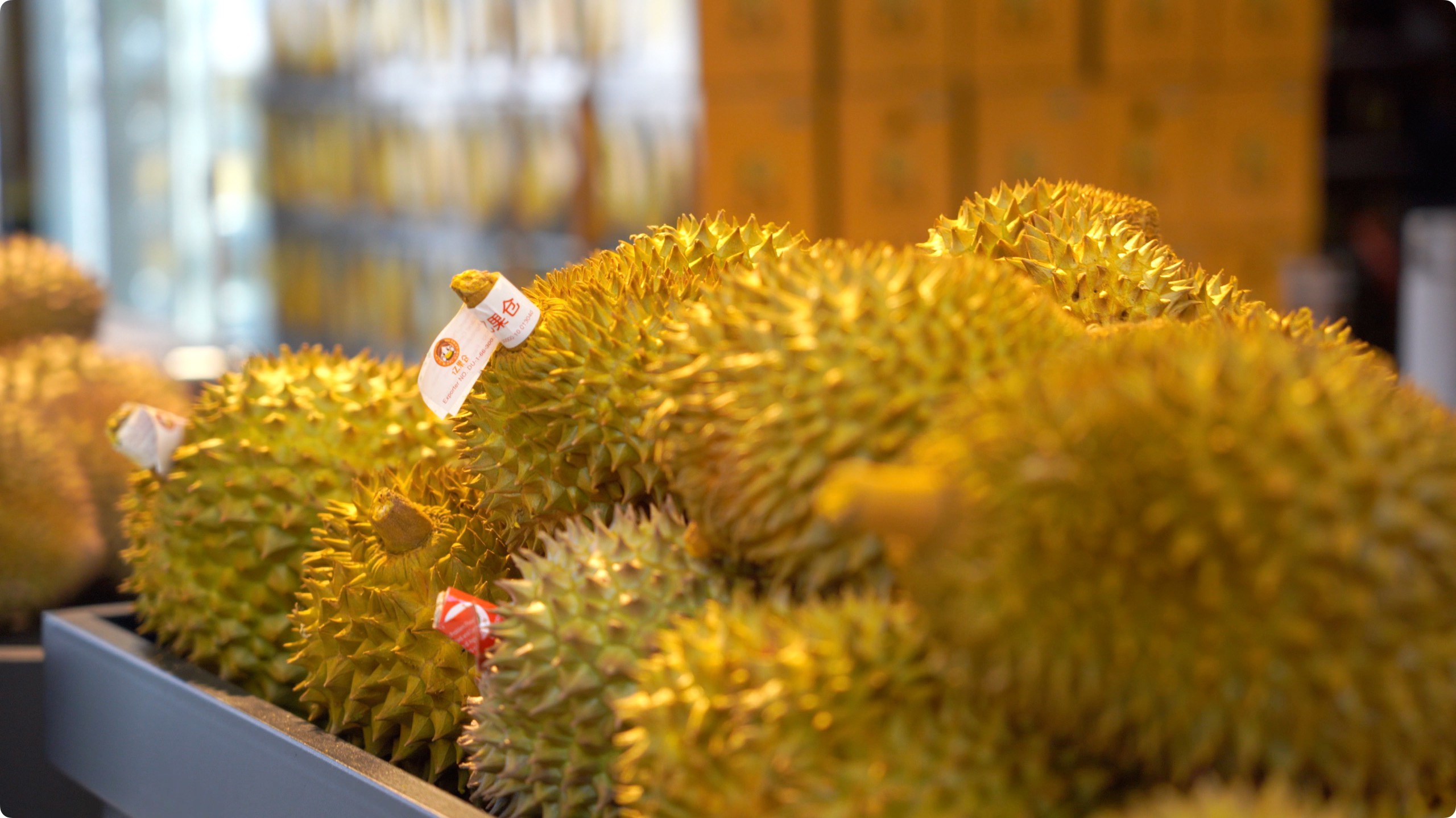 5月初,记者申佳平摄